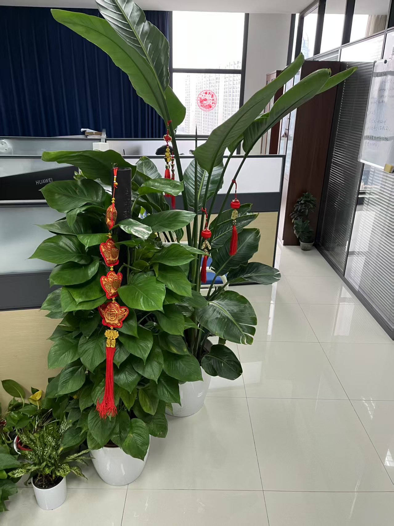 成果展示